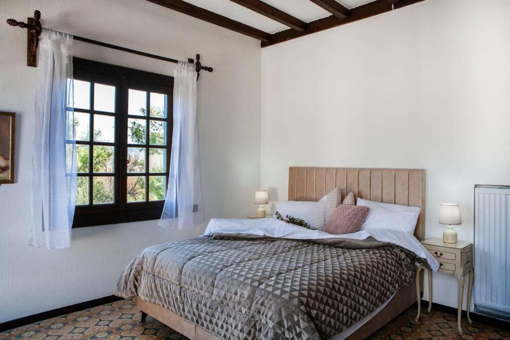 Villa Velissarios: Wonderful Villa Next To Beach Aegina Bagian luar foto