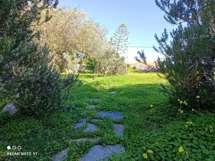 Villa Velissarios: Wonderful Villa Next To Beach Aegina Bagian luar foto
