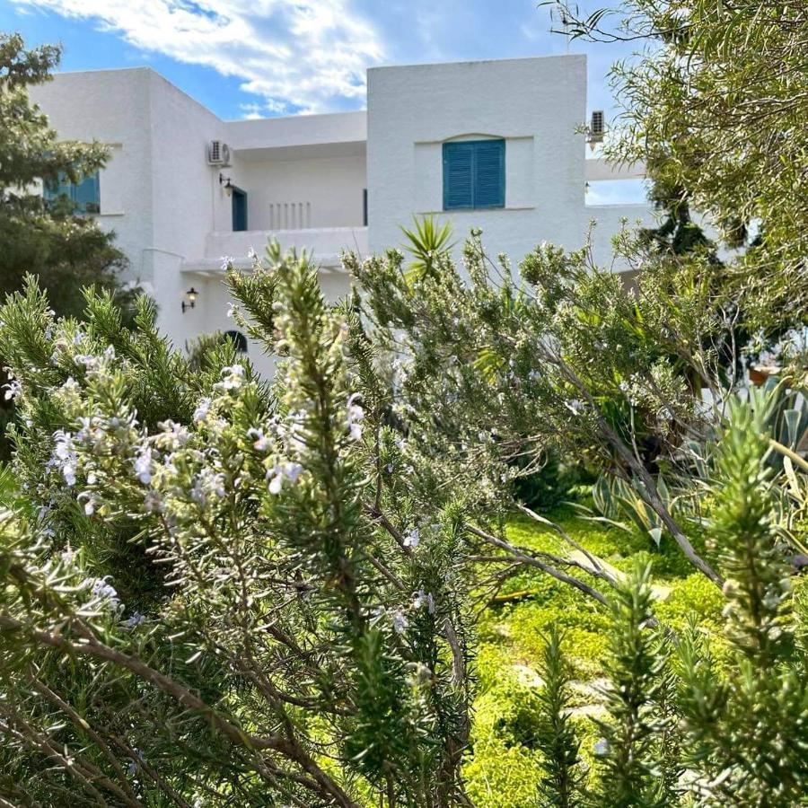 Villa Velissarios: Wonderful Villa Next To Beach Aegina Bagian luar foto